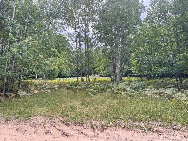 Listing Photo for Amoco Road 50 ACRES