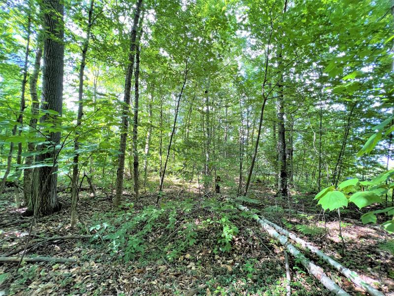Listing Photo for LOT 167 Us-23 Highway