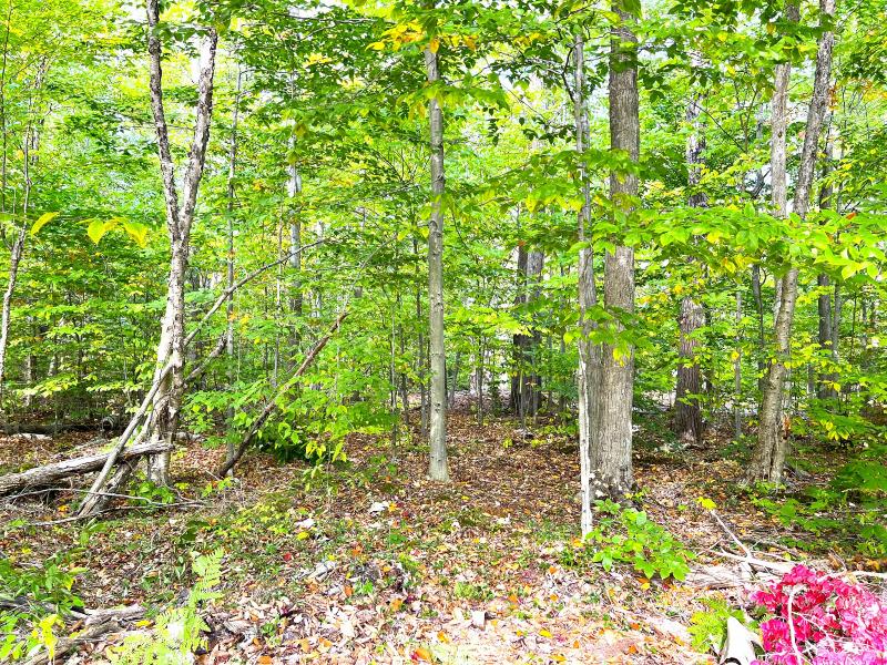 Listing Photo for LOT 167 Us-23 Highway