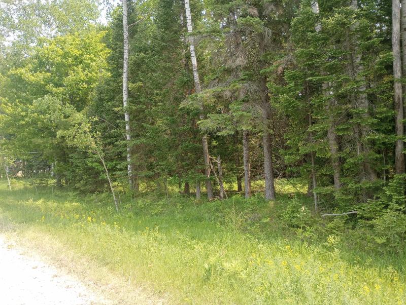 Listing Photo for Long Rapids Road