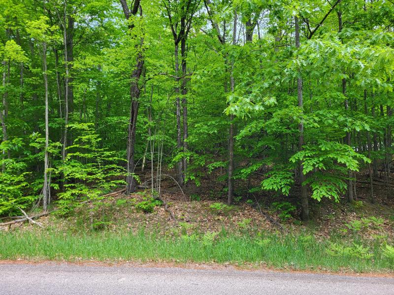 Listing Photo for LOT# 899 Catawaba Court