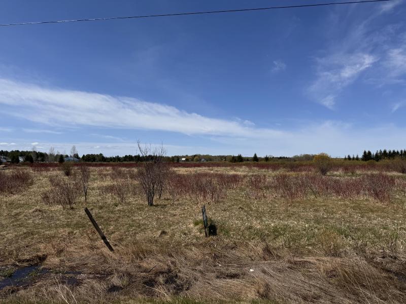 Listing Photo for OFF Inverness Trail 2.5 ACRES