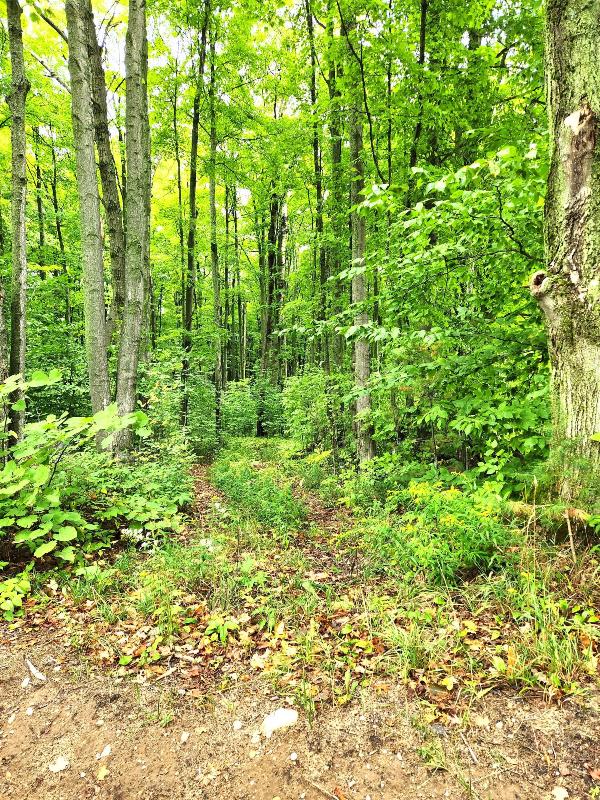 Listing Photo for 3427 Tower Road 10 ACRES
