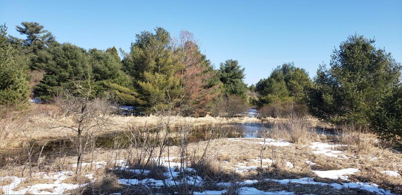 Listing Photo for Little Canada Road 33 ACRES