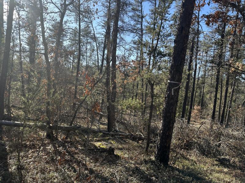 Listing Photo for Wilderness Trail 10 ACRES