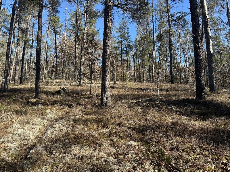 Listing Photo for Wilderness Trail 10 ACRES
