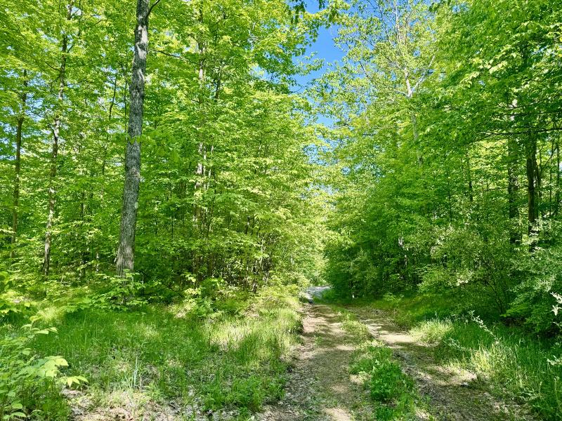 Listing Photo for Reeves Road 38.98 ACRES
