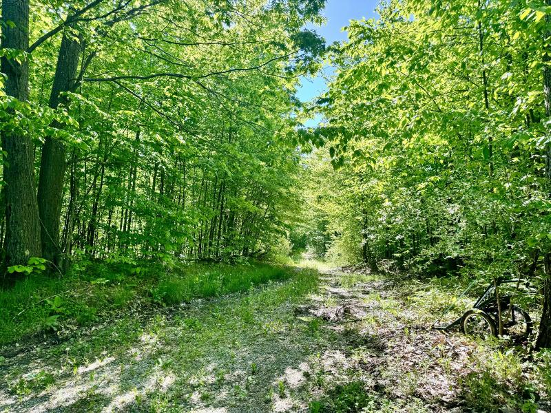 Listing Photo for Reeves Road 38.98 ACRES