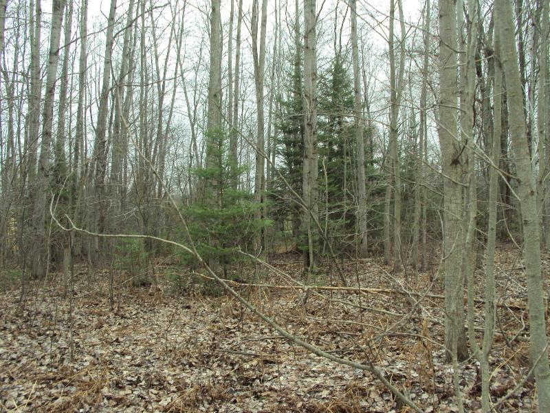 Listing Photo for 3629 Golfview Drive LOT 71
