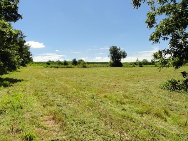 Photo -31 - LOT 2 County Road S Mount Horeb, WI 53572
