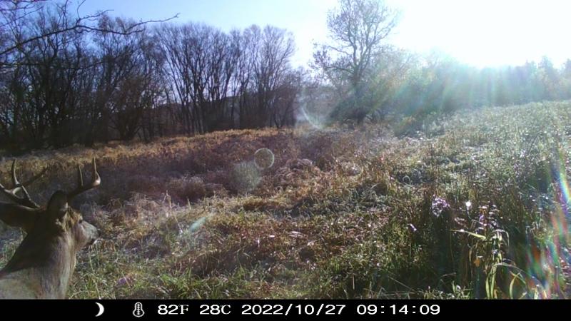 Photo -67 - 77+/- ACRES County Road W Union Center, WI 53962