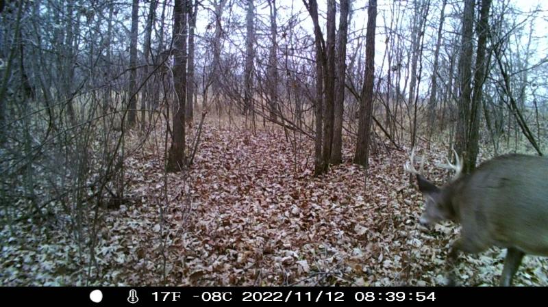 Photo -78 - 77+/- ACRES County Road W Union Center, WI 53962
