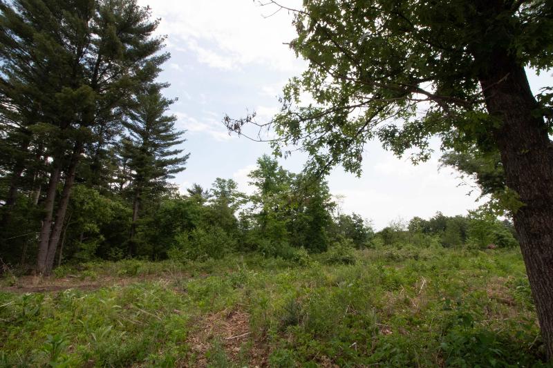 LOT8 Spruce Spring Green, WI 53588