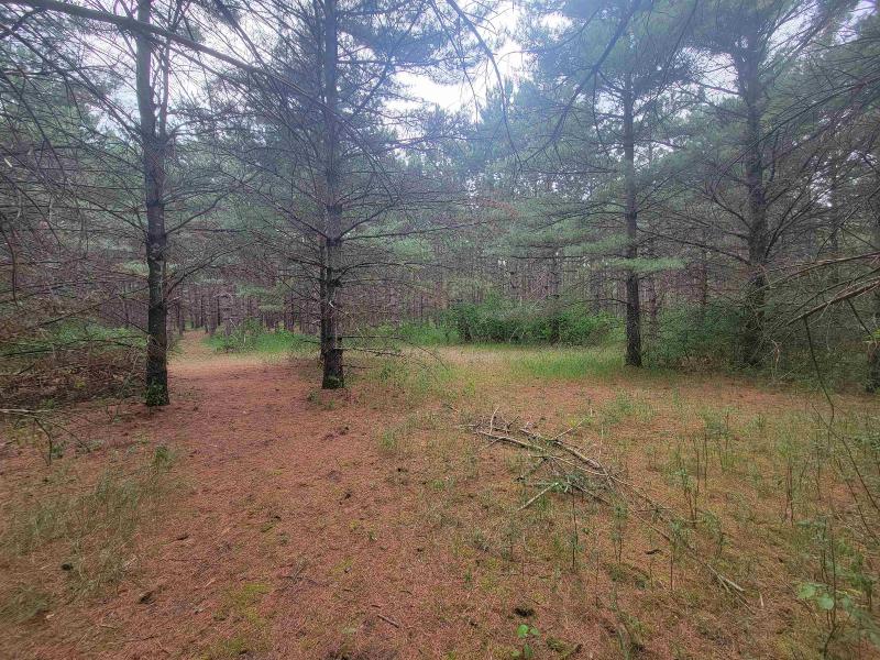 LOT 114 County Road Z Arkdale, WI 54613