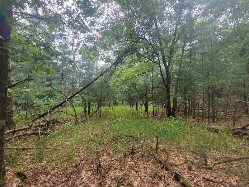 LOT 114 County Road Z Arkdale, WI 54613