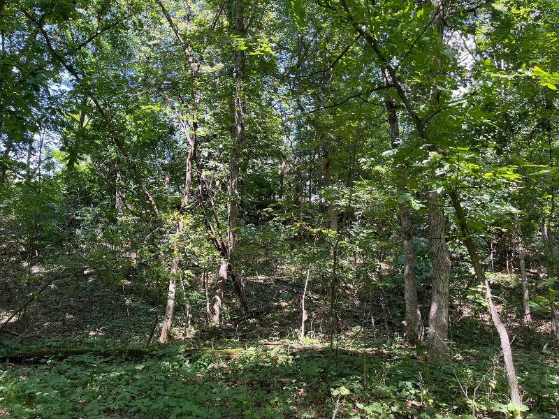 2.4 ACRES Cree Drive Arkdale, WI 54613