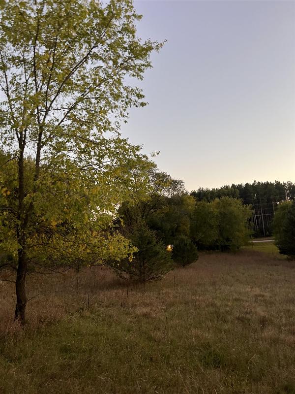2.52 ACRES County Road F Wautoma, WI 54982