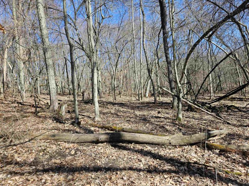 Photo -31 - 123.5 +/- ACRES Hell Hollow Road Richland Center, WI 53581