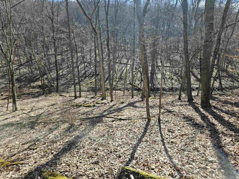 Photo -35 - 123.5 +/- ACRES Hell Hollow Road Richland Center, WI 53581