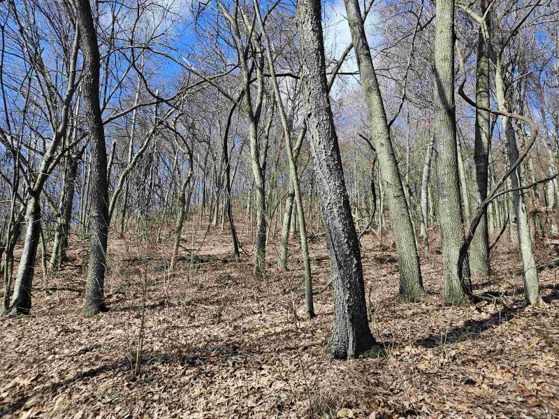 Photo -45 - 123.5 +/- ACRES Hell Hollow Road Richland Center, WI 53581