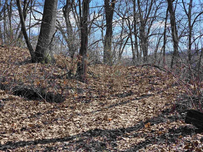 Photo -48 - 123.5 +/- ACRES Hell Hollow Road Richland Center, WI 53581