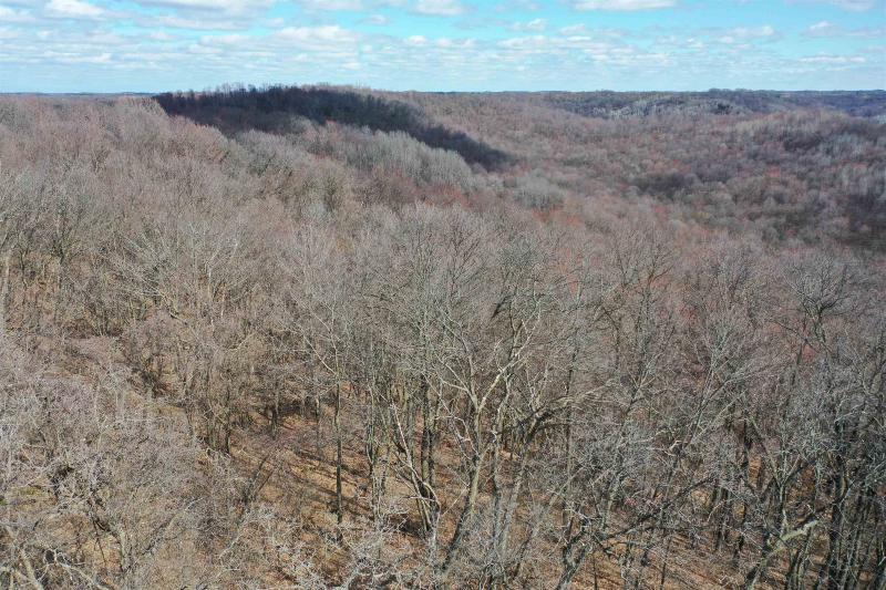Photo -49 - 123.5 +/- ACRES Hell Hollow Road Richland Center, WI 53581