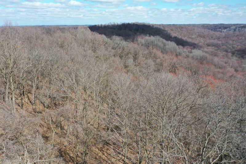 Photo -50 - 123.5 +/- ACRES Hell Hollow Road Richland Center, WI 53581