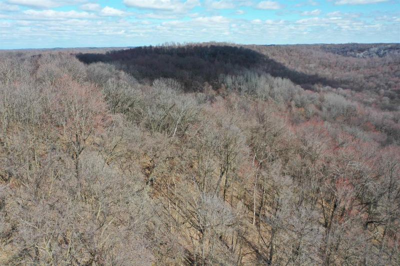 Photo -51 - 123.5 +/- ACRES Hell Hollow Road Richland Center, WI 53581