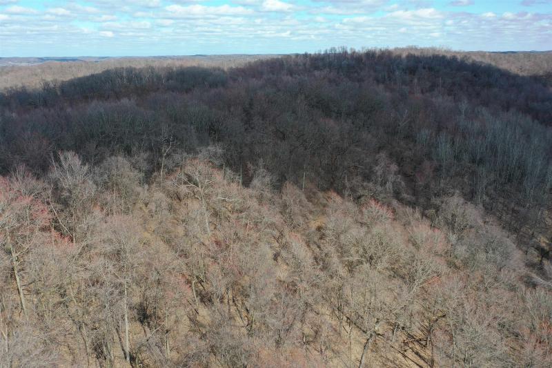 Photo -52 - 123.5 +/- ACRES Hell Hollow Road Richland Center, WI 53581
