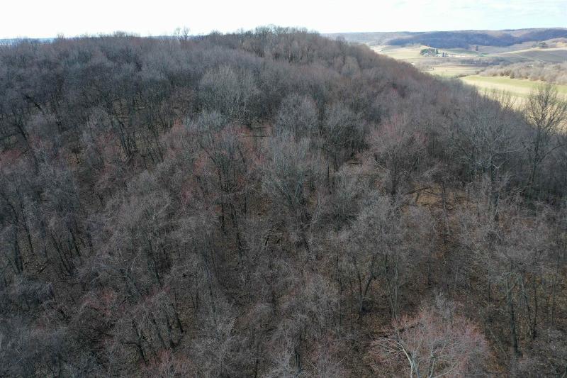 Photo -53 - 123.5 +/- ACRES Hell Hollow Road Richland Center, WI 53581