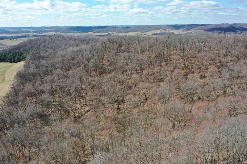 Photo -55 - 123.5 +/- ACRES Hell Hollow Road Richland Center, WI 53581