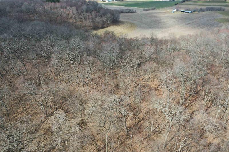 Photo -56 - 123.5 +/- ACRES Hell Hollow Road Richland Center, WI 53581