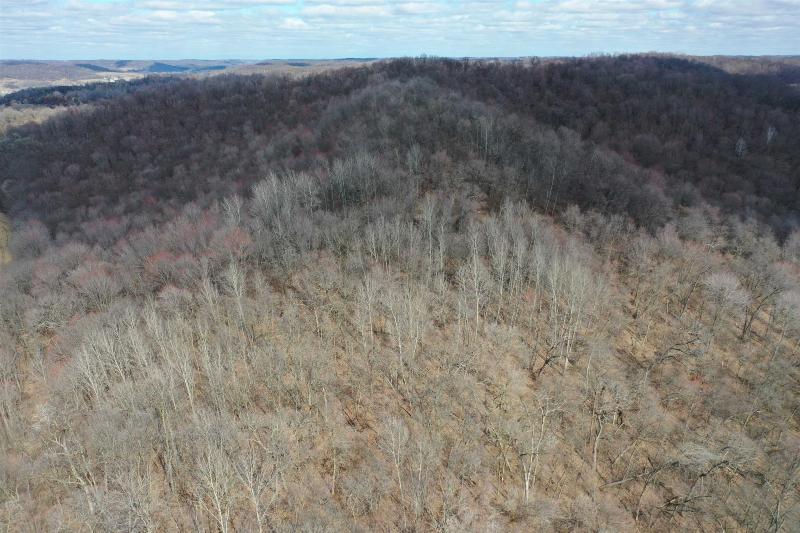 Photo -58 - 123.5 +/- ACRES Hell Hollow Road Richland Center, WI 53581