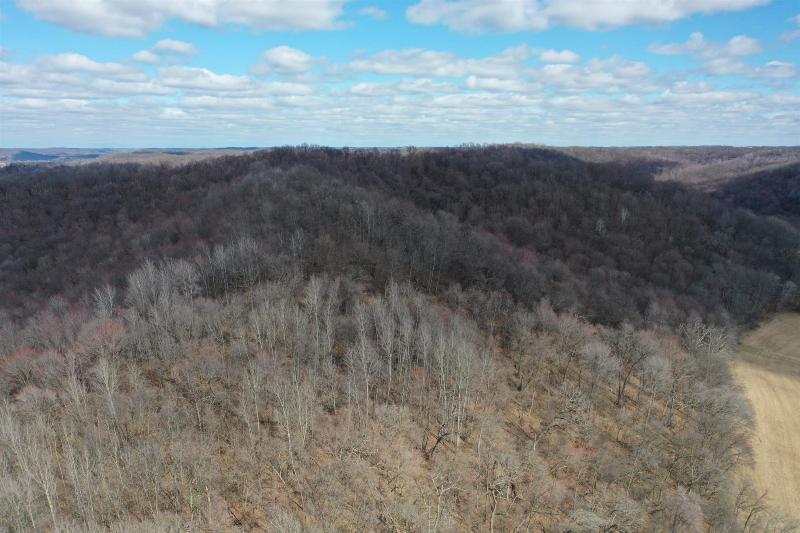 Photo -59 - 123.5 +/- ACRES Hell Hollow Road Richland Center, WI 53581