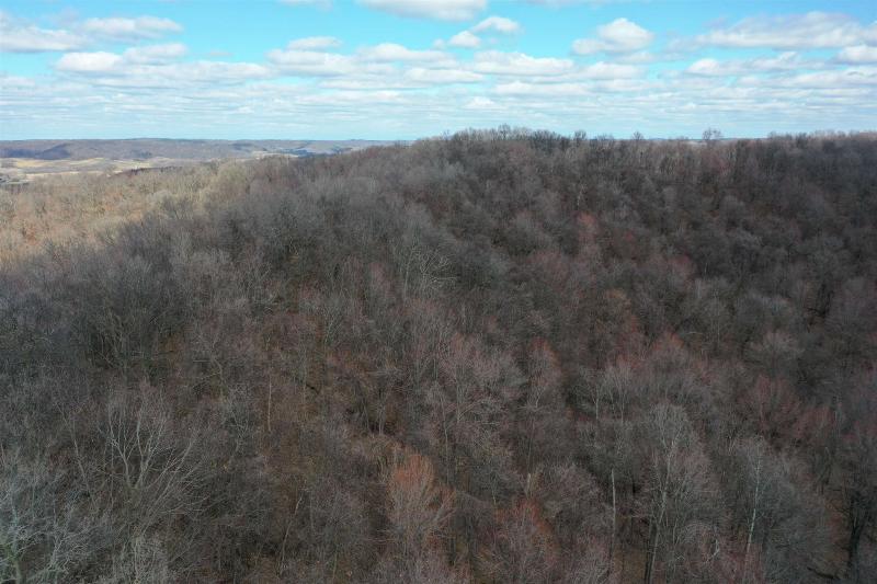 Photo -60 - 123.5 +/- ACRES Hell Hollow Road Richland Center, WI 53581