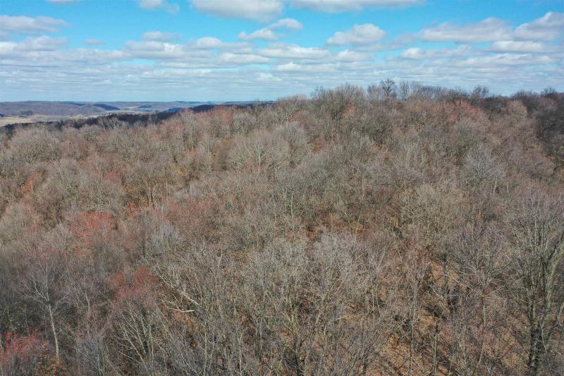 Photo -61 - 123.5 +/- ACRES Hell Hollow Road Richland Center, WI 53581