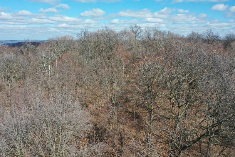 Photo -62 - 123.5 +/- ACRES Hell Hollow Road Richland Center, WI 53581