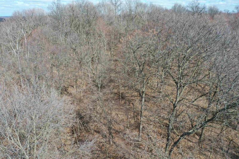 Photo -63 - 123.5 +/- ACRES Hell Hollow Road Richland Center, WI 53581