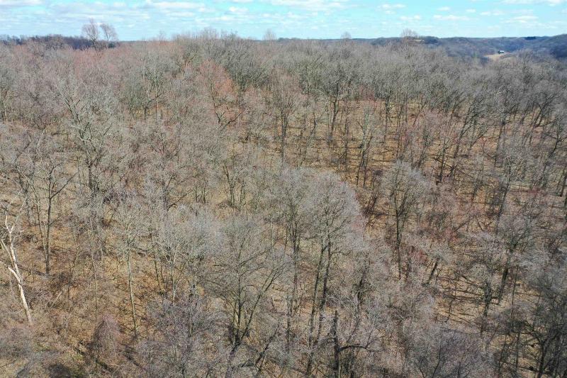 Photo -64 - 123.5 +/- ACRES Hell Hollow Road Richland Center, WI 53581