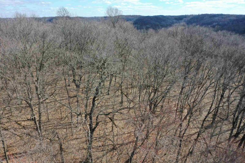 Photo -65 - 123.5 +/- ACRES Hell Hollow Road Richland Center, WI 53581