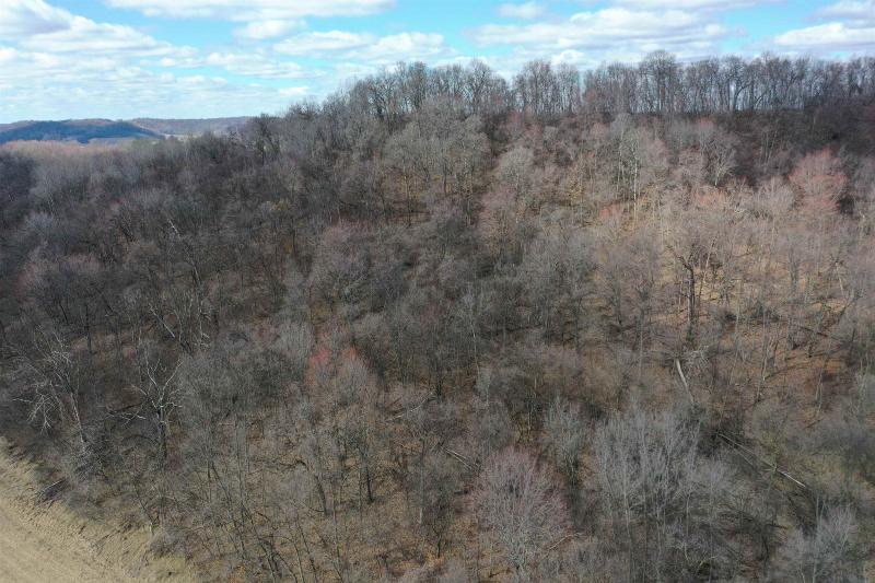 Photo -66 - 123.5 +/- ACRES Hell Hollow Road Richland Center, WI 53581
