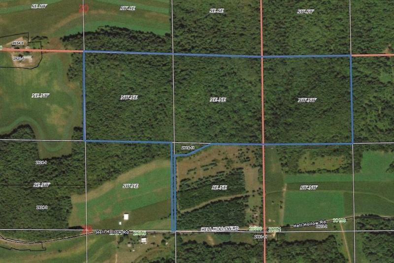 Photo -69 - 123.5 +/- ACRES Hell Hollow Road Richland Center, WI 53581