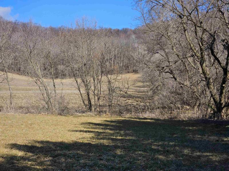 123.5 +/- ACRES Hell Hollow Road Richland Center, WI 53581