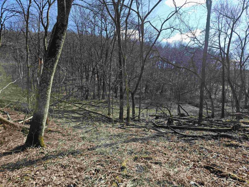 123.5 +/- ACRES Hell Hollow Road Richland Center, WI 53581