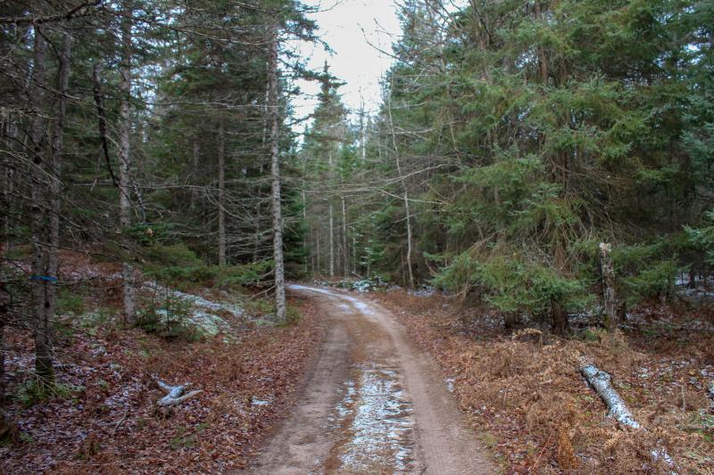 Listing Photo for 0000 S Hendrie River Rd