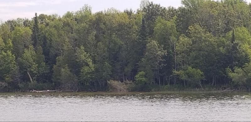 Listing Photo for 000 H-33 (manistique Lakes Rd)