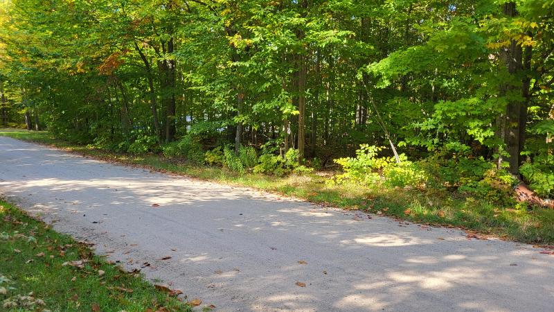 Listing Photo for V/L W Birch Shores Drive Lot 121