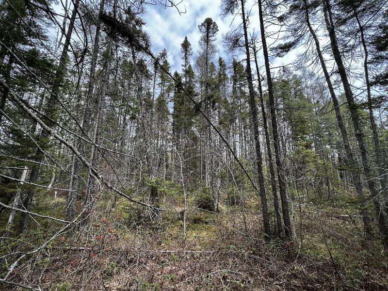 Listing Photo for 11401 N Whitefish Point Rd