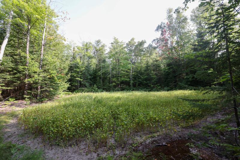 Listing Photo for 6921 W Walsh Grade Road
