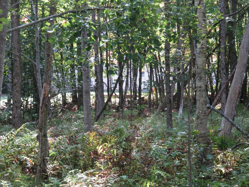 Listing Photo for PT LOT 119 W Birch Shore Drive